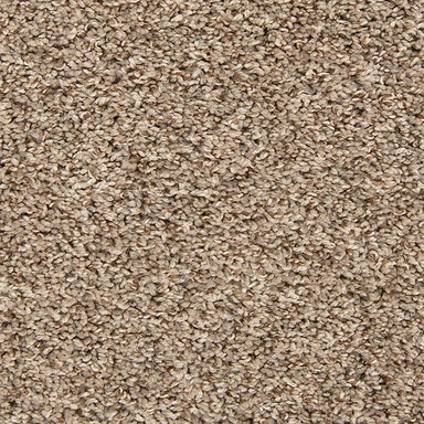 Mohawk Color Classics II Carpet Flooring