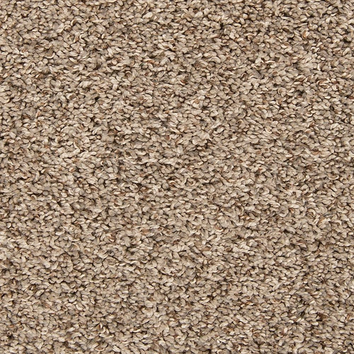 Mohawk Color Classics II Carpet Flooring