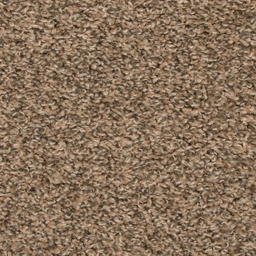 Flax Seed
