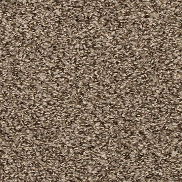 Shimmer Ash