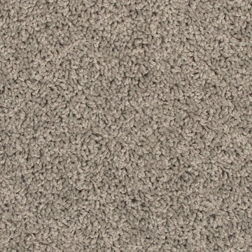 Winter Ash