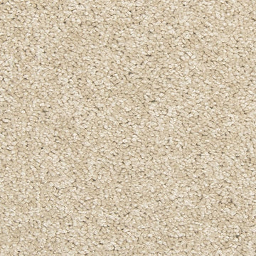 Bleached Almond