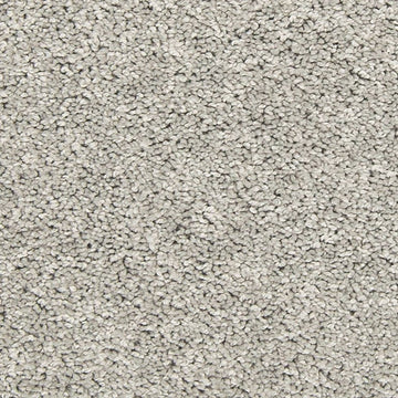 Winter Ash