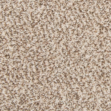 Elk Beige