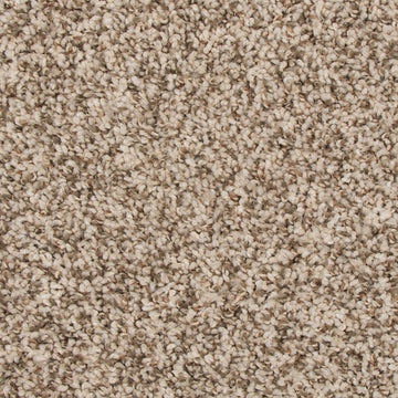 Elk Beige