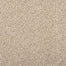 Cordial Mood in Antique Carpet