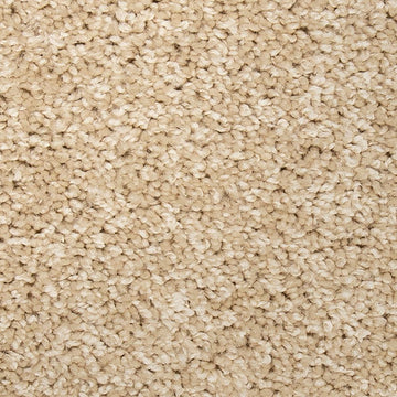 Bleached Almond