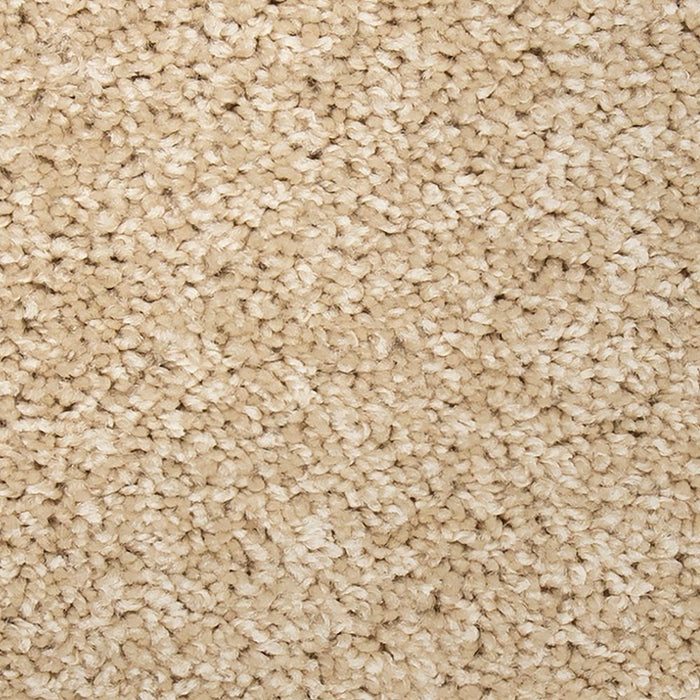 Mohawk Vitalize I Carpet Flooring