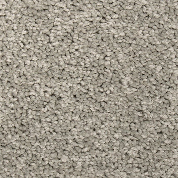 Winter Ash