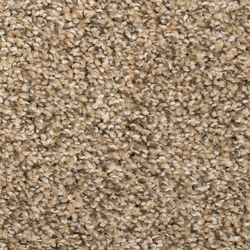 Flax Seed