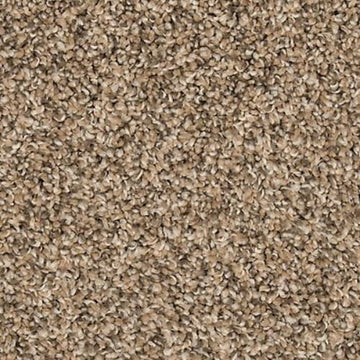 Flax Seed