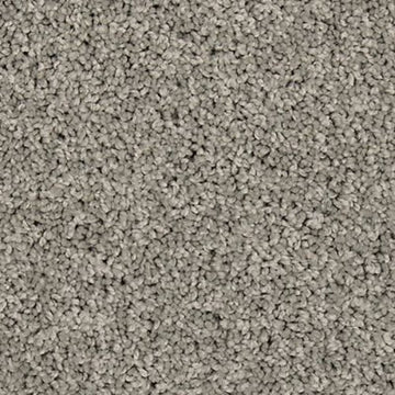 Winter Ash