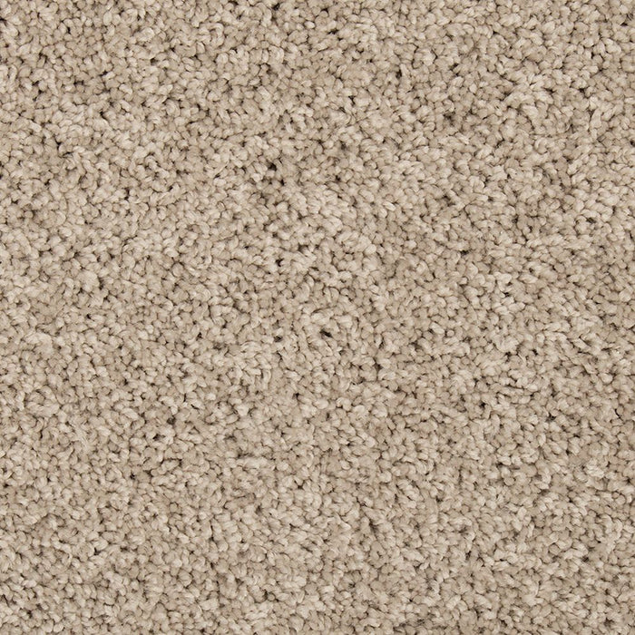 Mohawk Renovate II Carpet Flooring