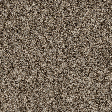 Shimmer Ash