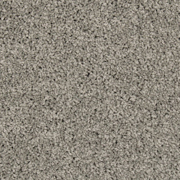 Winter Ash