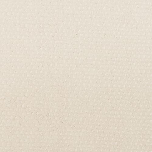 Greenwich Design in Alden Carpet