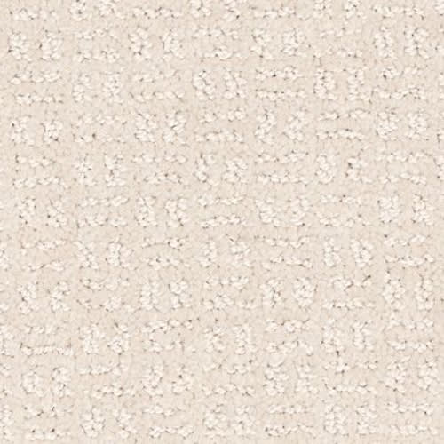 Quality Space in Almond Shell Carpet