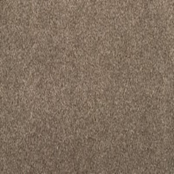 Fawn Suede