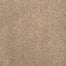 Cordial Memory in Ashen Taupe Carpet