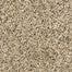 Raise The Woof II in Bisque Carpet