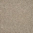 Luxuriant Surface in Flute Carpet