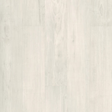 Bone