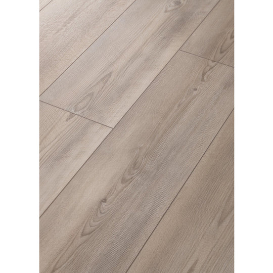 Paragon 7" Plus