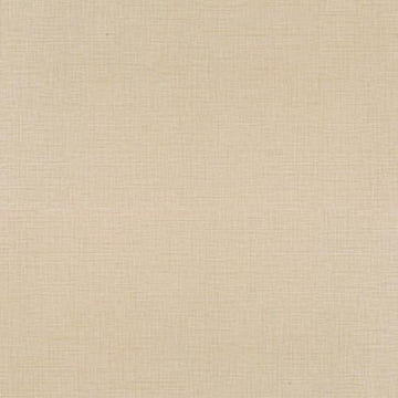 Rice Paper