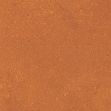 Orange Burst