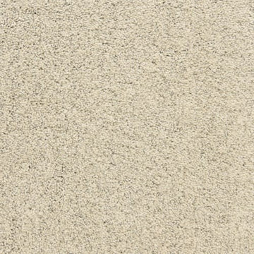 Sea Wall