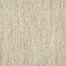 Purity in Canvas Carpet