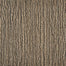 Piazza Lineage in Earthly Graphite Carpet
