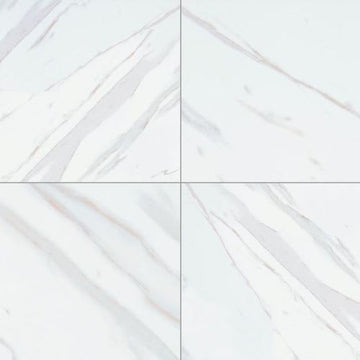 Calacatta - 24x24 Matte