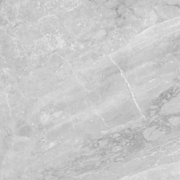 Perla Grigia 24x48 Rect Polished