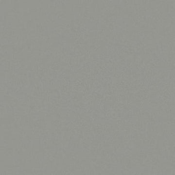 Mica 12x24 Rectified Matte
