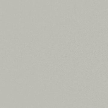 Smoke 12x24 Rectified Matte