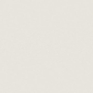 Warm White 12x12 Rectified Polished