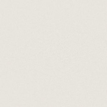 Warm White 12x24 Rectified Polished
