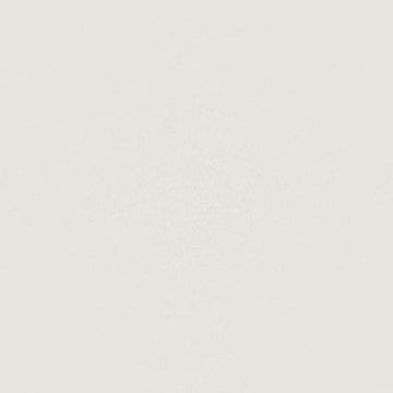 Warm White 24x24 Rectified Matte