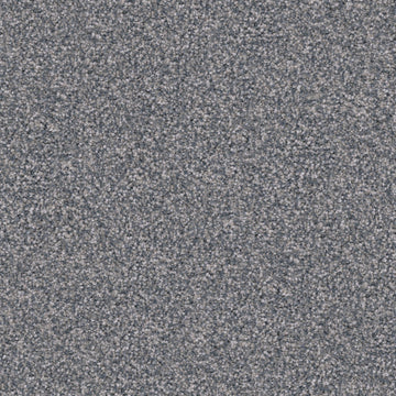 Pumi