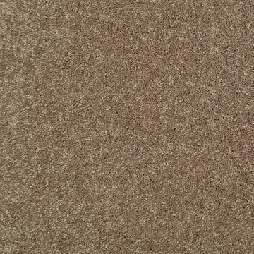 Sand Dune