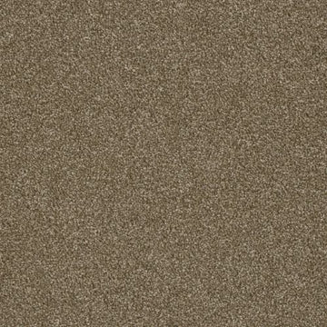 Quail