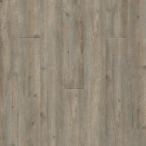 PureGrain Endure - Lifestyle