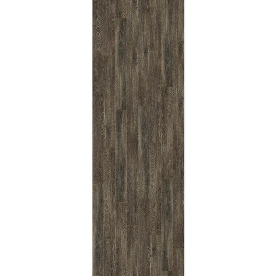 Symbiotic 12