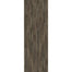 Shaw Industries in Symbiotic 12 Luxury Vinyl