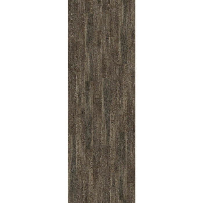 Shaw Industries in Symbiotic 12 Luxury Vinyl