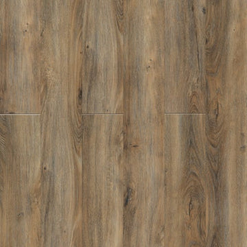 Bay Of Plenty / 7 x 48