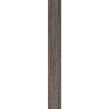 Bronzite