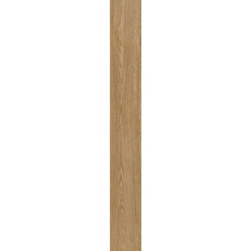Reed