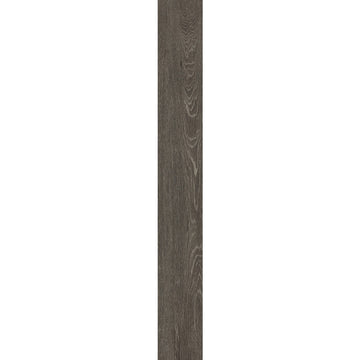 Carbon